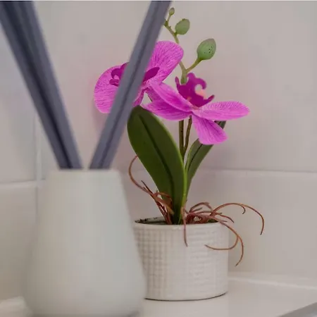 Appartement Casa San Vito